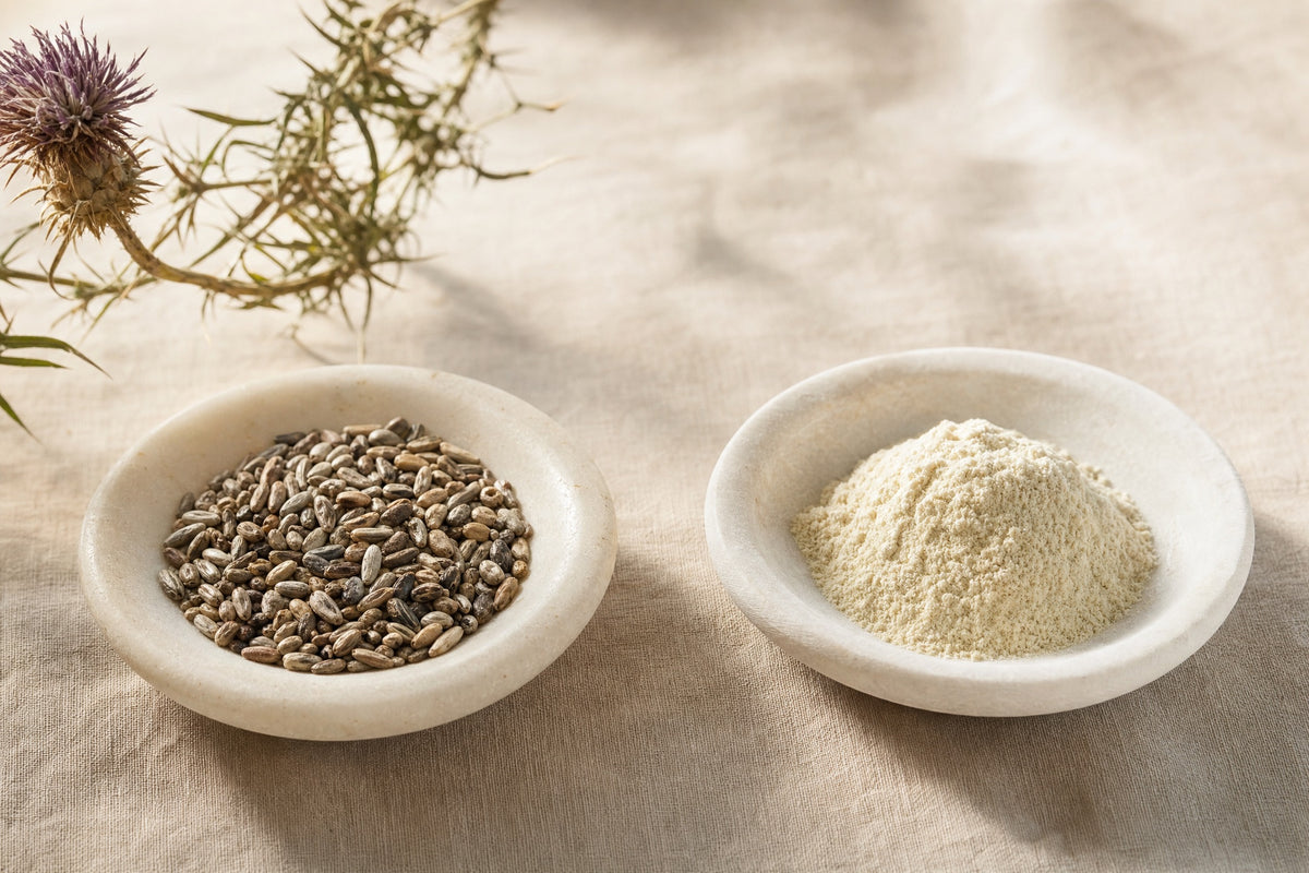 Milk thistle seeds and a fine pale powder in two separate stone dishes