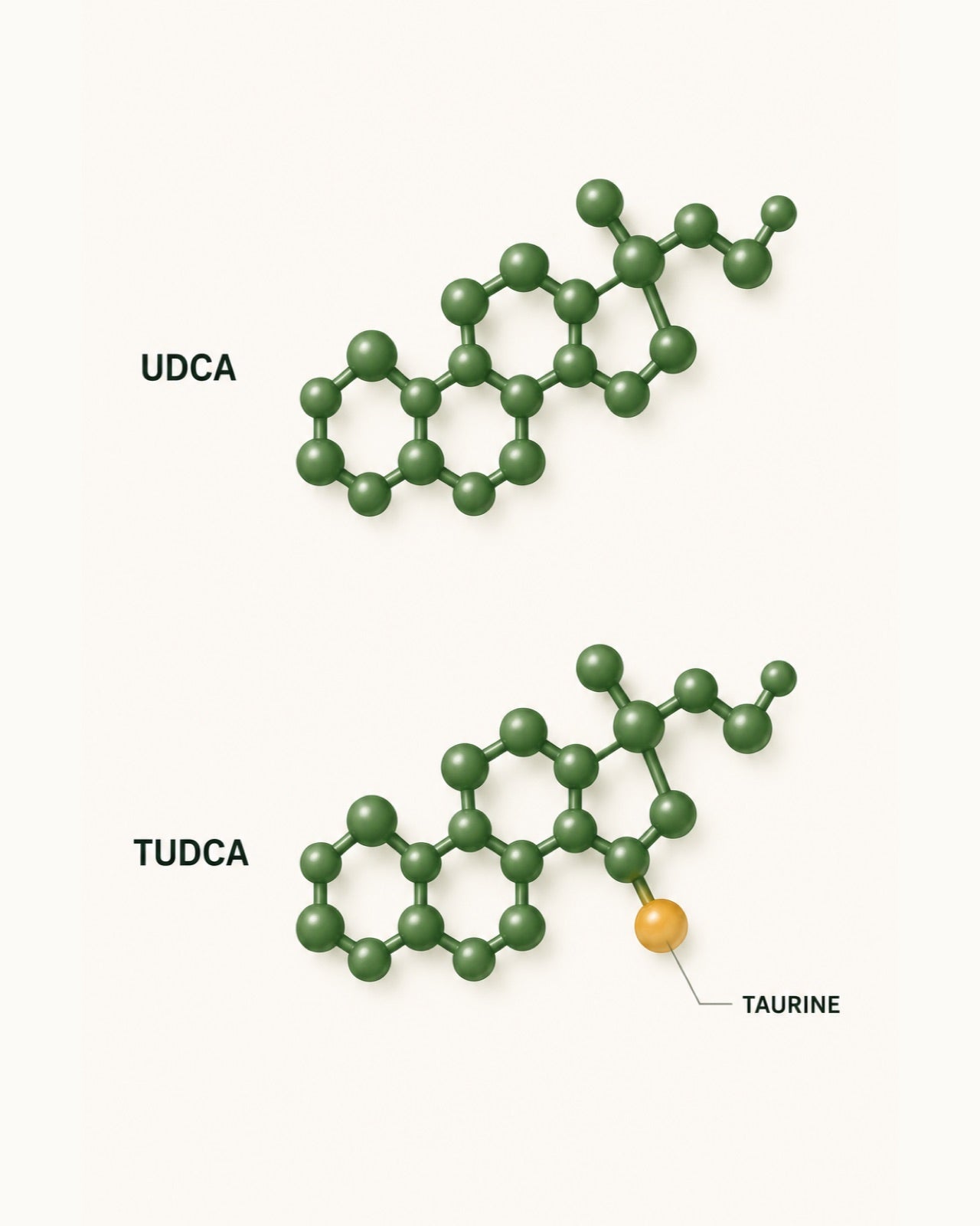 Two molecular models, labelled UDCA and TUDCA. TUDCA is the identical structure with one extra amber part, labelled taurine.